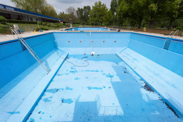 Best Professional water damage repair  in Elberta, AL