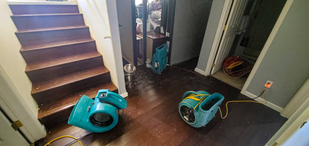 Best Carpet water damage restoration  in Elberta, AL