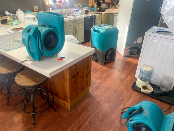 Best Water damage contractors near me  in Elberta, AL