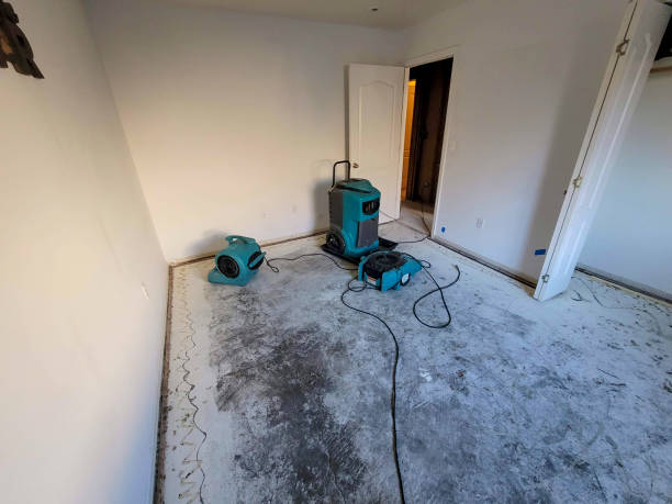 Best Water damage restoration insurance claims  in Elberta, AL