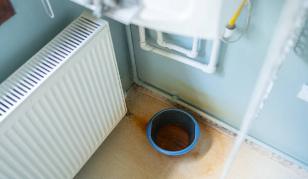 Best Sewage cleanup and water damage restoration  in Elberta, AL