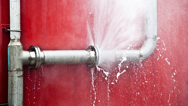 Best Water damage restoration near me  in Elberta, AL